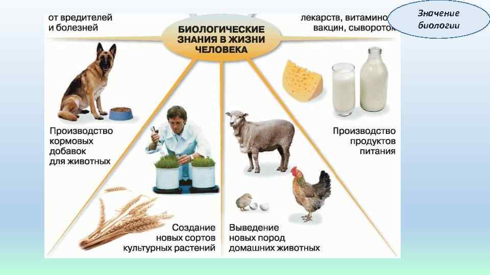 Значение биологии 