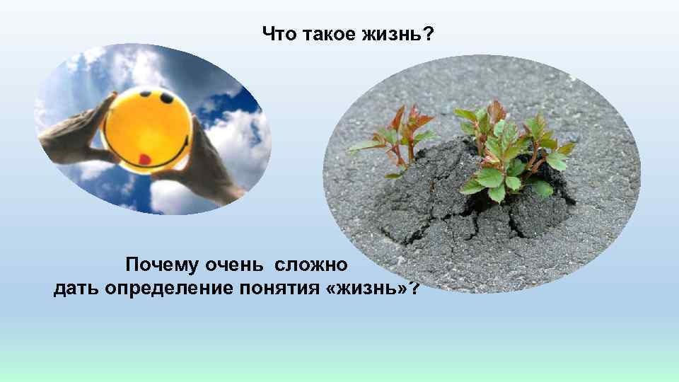 Что такое жизнь? Почему очень сложно дать определение понятия «жизнь» ? 