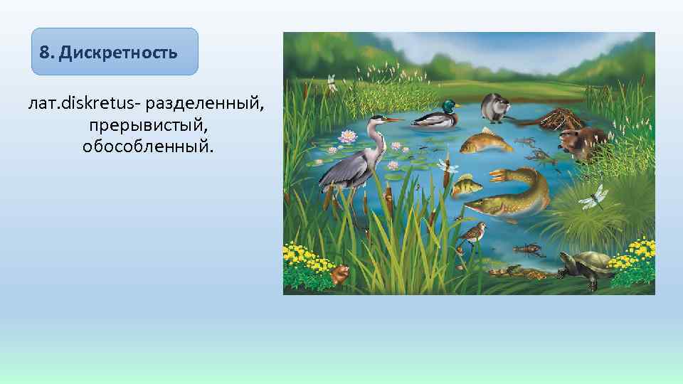 8. Дискретность лат. diskretus- разделенный, прерывистый, обособленный. 