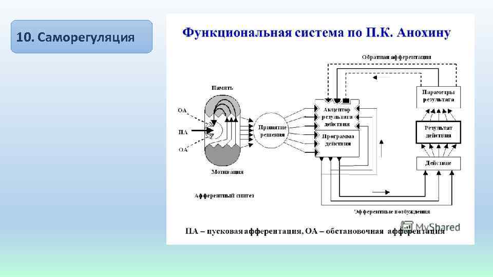 10. Саморегуляция 