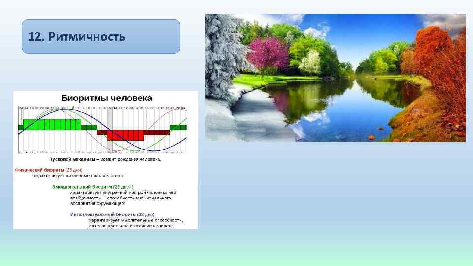12. Ритмичность 