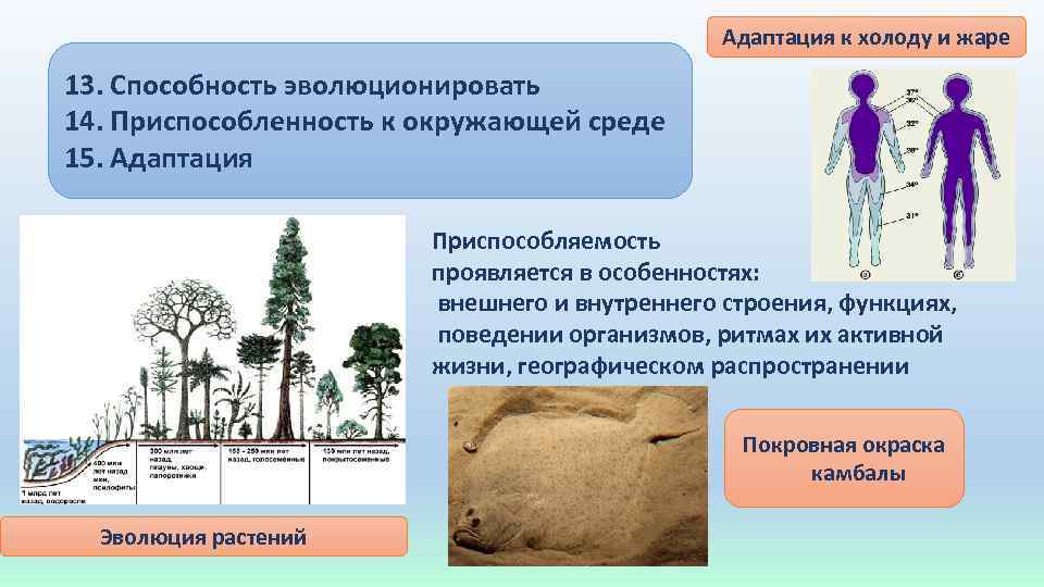 Адаптация человека к окружающей среде презентация