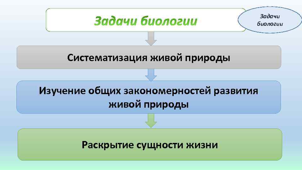 Задачи биологии Систематизация живой природы Изучение общих закономерностей развития живой природы Раскрытие сущности жизни