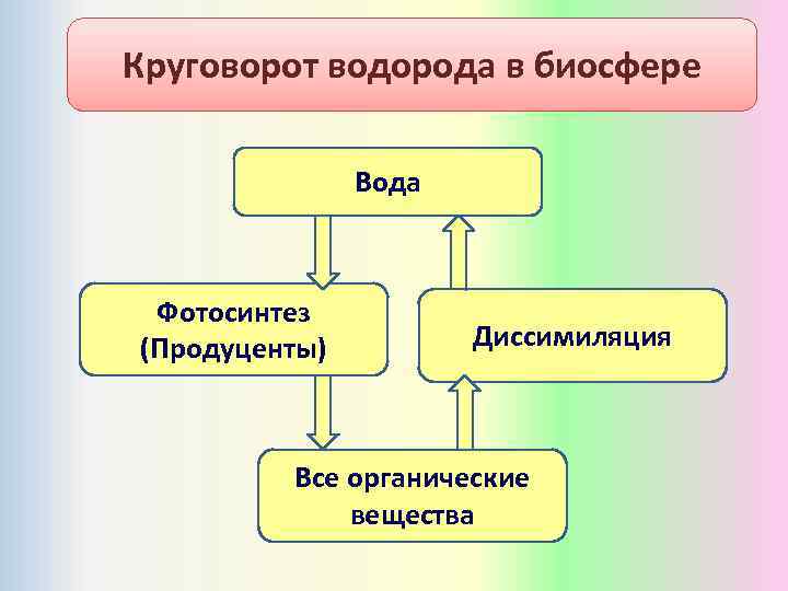 Круговорот водорода в биосфере Вода Фотосинтез (Продуценты) Диссимиляция Все органические вещества 