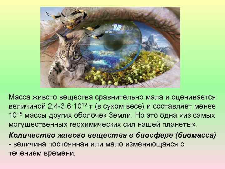 Масса живого вещества сравнительно мала и оценивается величиной 2, 4 -3, 6· 1012 т