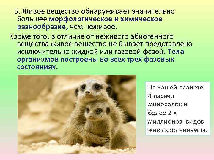  5. Живое вещество обнаруживает значительно большее морфологическое и химическое разнообразие, чем неживое. Кроме