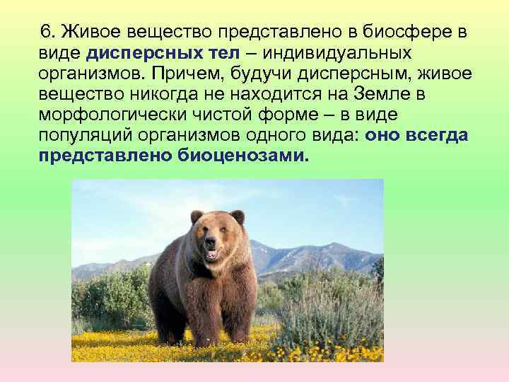  6. Живое вещество представлено в биосфере в виде дисперсных тел – индивидуальных организмов.