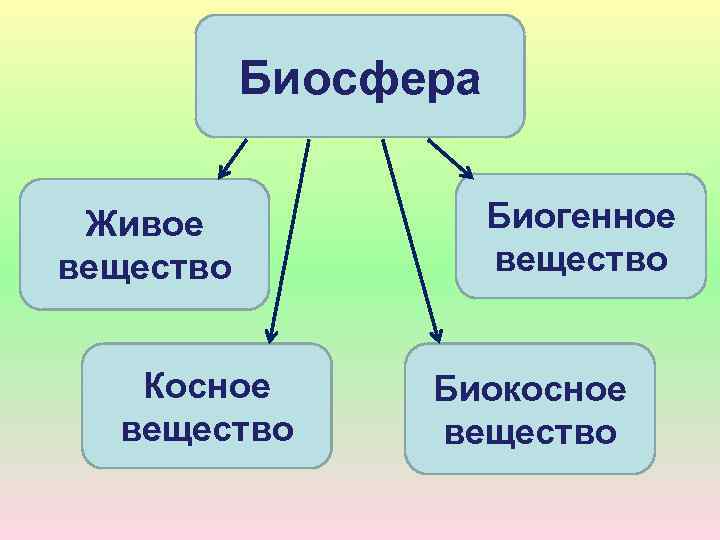 Биосфера Живое вещество Косное вещество Биогенное вещество Биокосное вещество 