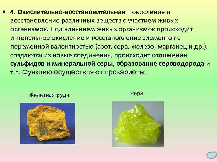 Молекулярный уровень организации живой материи значение и роль в природе презентация 11 класс