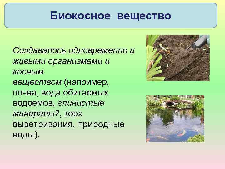 Молекулярный уровень организации живой материи значение и роль в природе презентация 11 класс