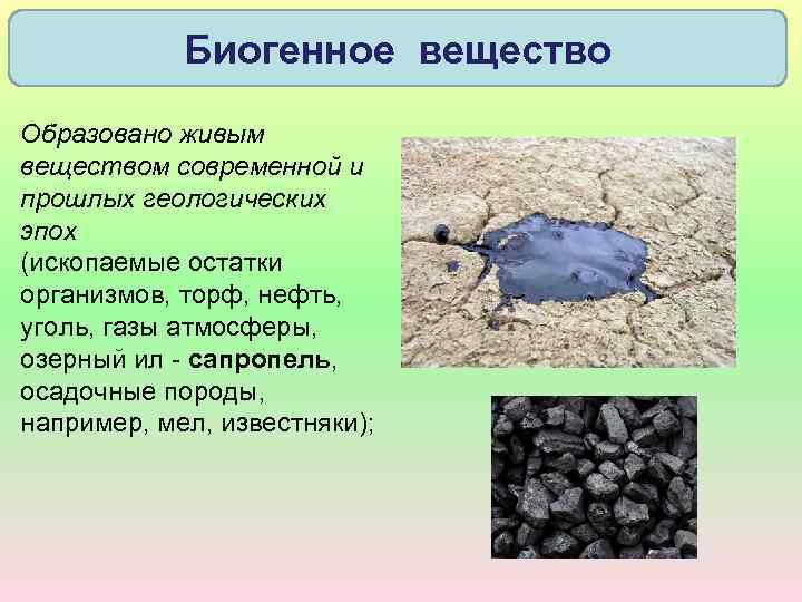 Биогенное вещество Образовано живым веществом современной и прошлых геологических эпох (ископаемые остатки организмов, торф,