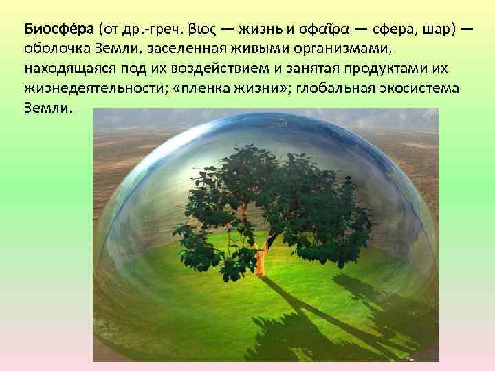 Биосфе ра (от др. -греч. βιος — жизнь и σφαῖρα — сфера, шар) —