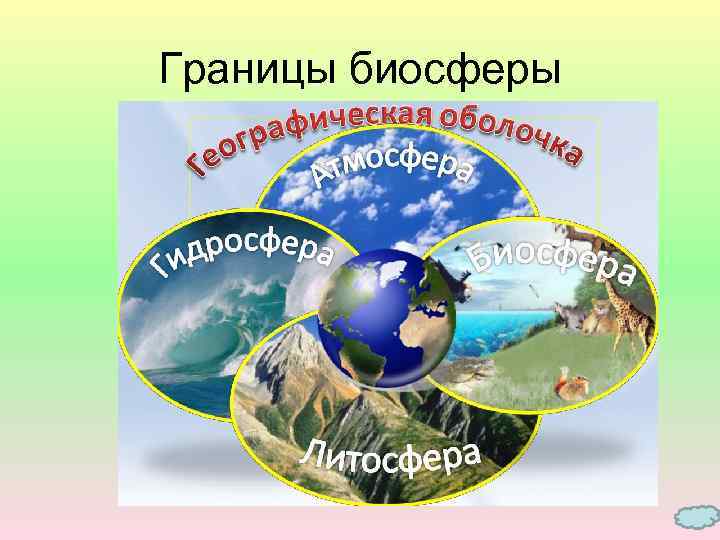 Границы биосферы 