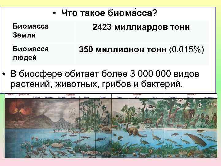  • Что такое биома сса? Биомасса Земли 2423 миллиардов тонн Биомасса людей 350