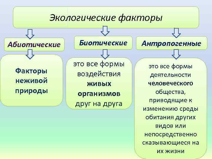 Экологические факторы Абиотические Факторы неживой природы Биотические это все формы воздействия живых организмов друг