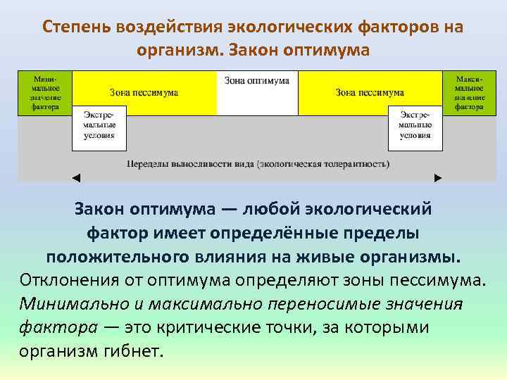 Степень воздействия экологических факторов на организм. Закон оптимума • Закон оптимума — любой экологический
