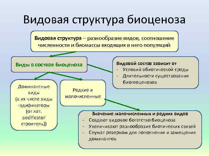 Видовая структура биоценоза Видовая структура – разнообразие видов, соотношение численности и биомассы входящих в