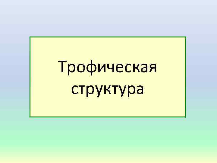 Трофическая структура 