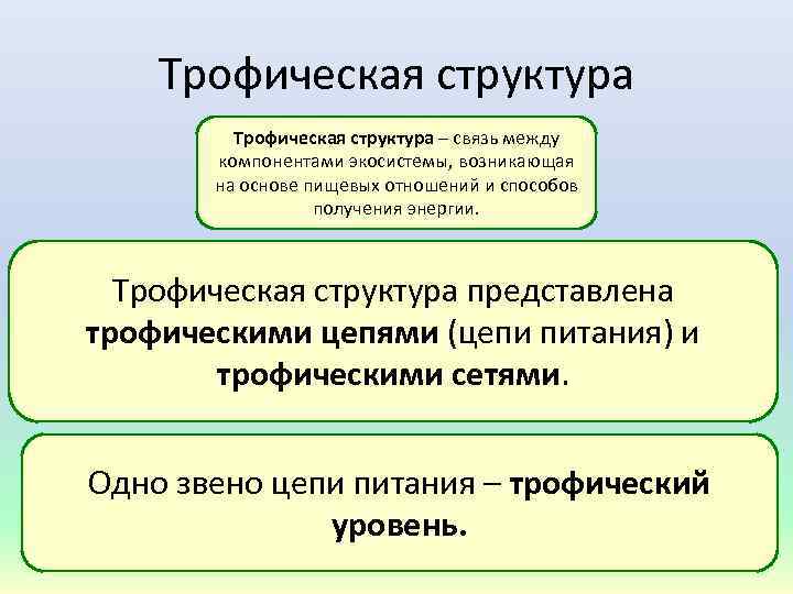 Трофическая структура – связь между компонентами экосистемы, возникающая на основе пищевых отношений и способов