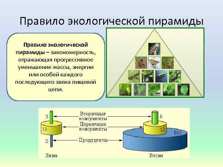 Используя содержание темы 12 составьте в тетради схему взаимосвязь проблемы преодоления отсталости