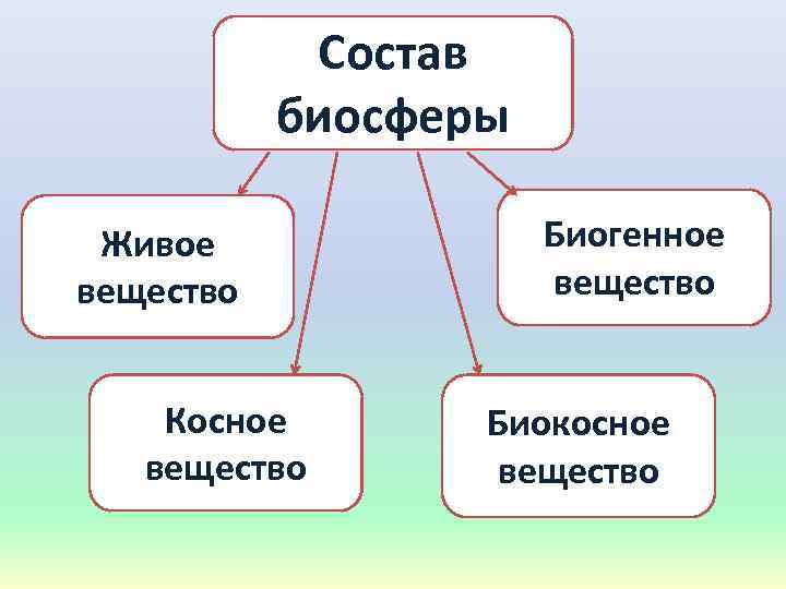 Состав биосферы Живое вещество Косное вещество Биогенное вещество Биокосное вещество 