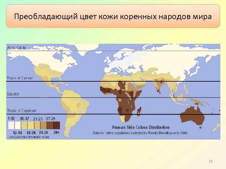Преобладающий цвет кожи коренных народов мира 12 