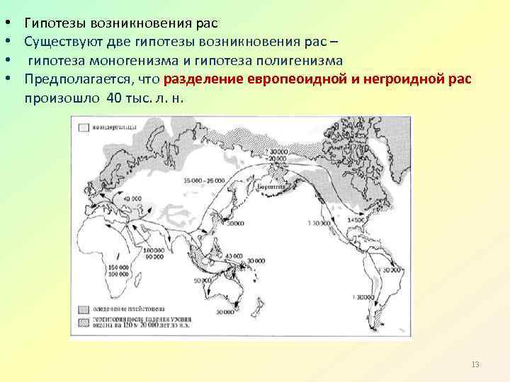  • • Гипотезы возникновения рас Существуют две гипотезы возникновения рас – гипотеза моногенизма