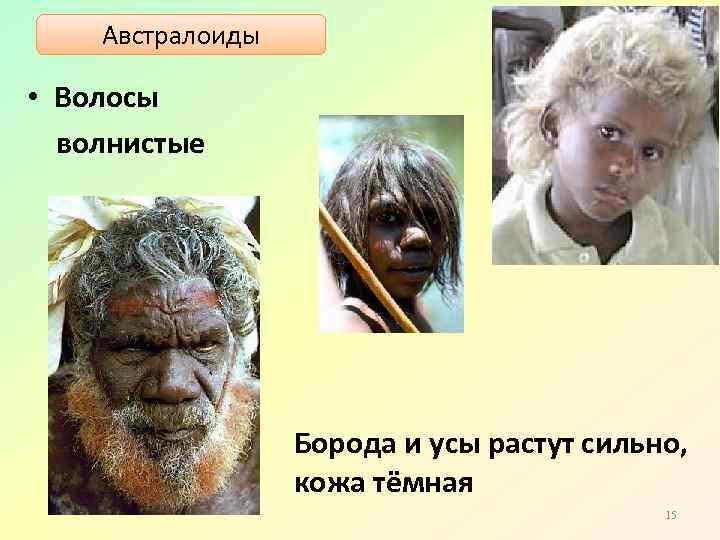 Австралоиды • Волосы волнистые Борода и усы растут сильно, кожа тёмная 15 