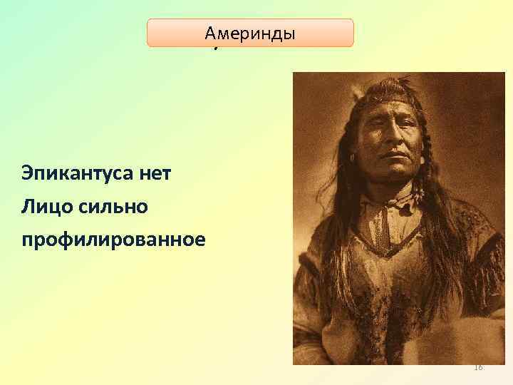 Америнды Эпикантуса нет Лицо сильно профилированное 16 