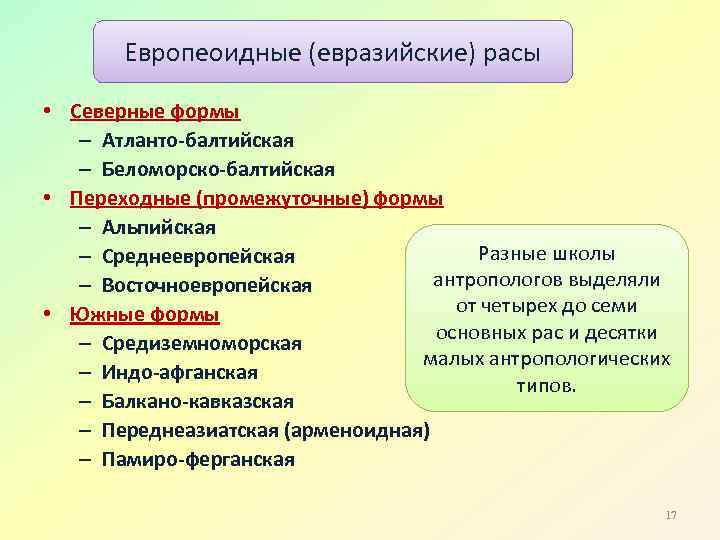 Европеоидные (евразийские) расы • Северные формы – Атланто-балтийская – Беломорско-балтийская • Переходные (промежуточные) формы