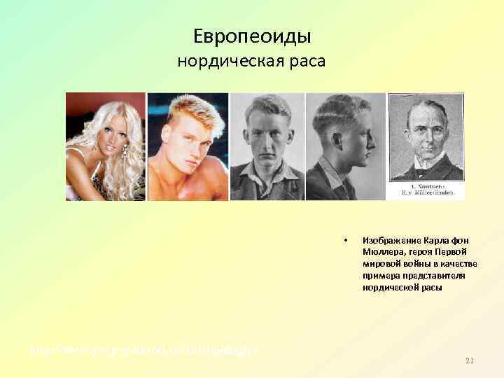 Европеоиды нордическая раса • http: //www. yenyey. narod. ru/antropologiya Изображение Карла фон Мюллера, героя
