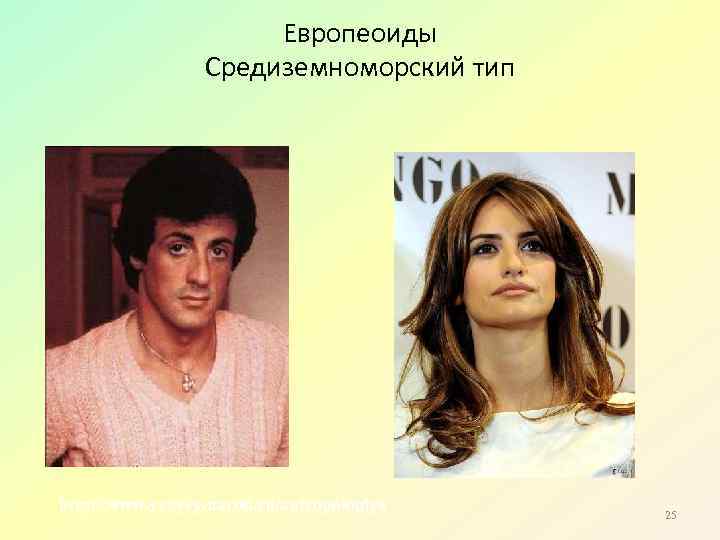 Европеоиды Средиземноморский тип http: //www. yenyey. narod. ru/antropologiya 25 