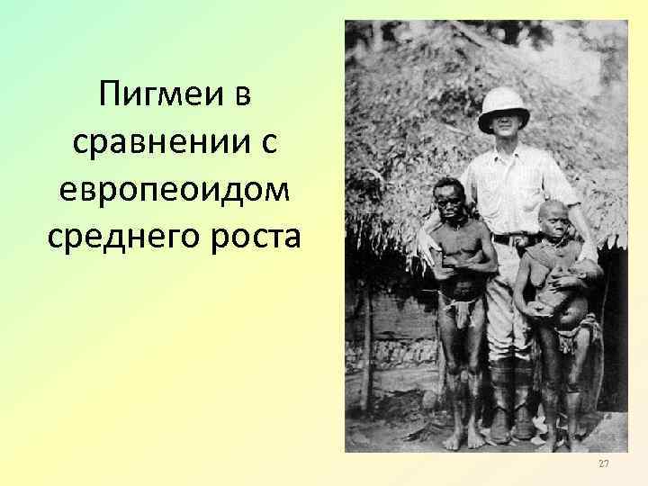 Пигмеи в сравнении с европеоидом среднего роста 27 