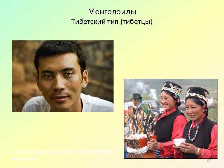 Монголоиды Тибетский тип (тибетцы) http: //www. yenyey. narod. ru/antropologiya/ mongoloid 35 