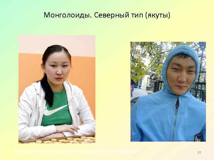 Монголоиды. Северный тип (якуты) http: //www. yenyey. narod. ru/antropologiya/mongoloid 37 