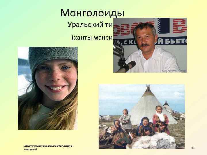 Монголоиды Уральский тип (ханты манси) http: //www. yenyey. narod. ru/antropologiya /mongoloid 42 