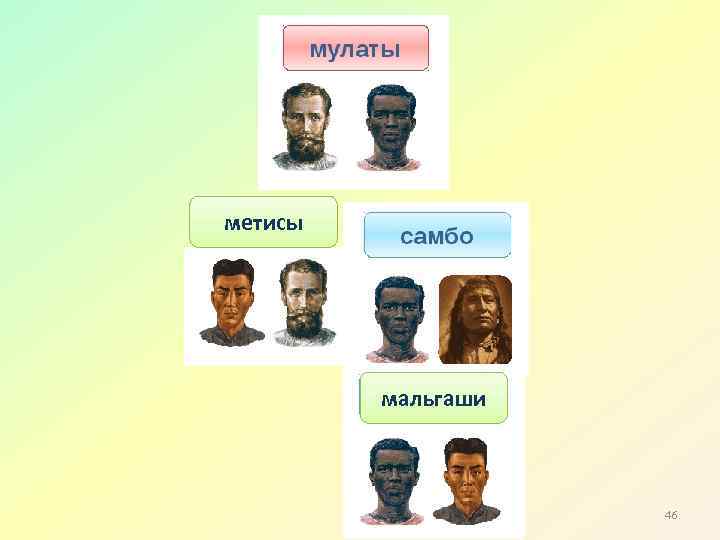 метисы мальгаши 46 