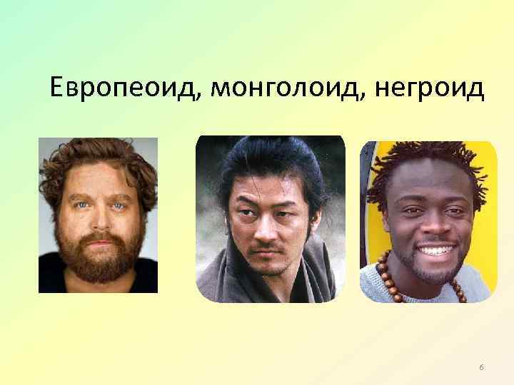 Европеоид, монголоид, негроид 6 