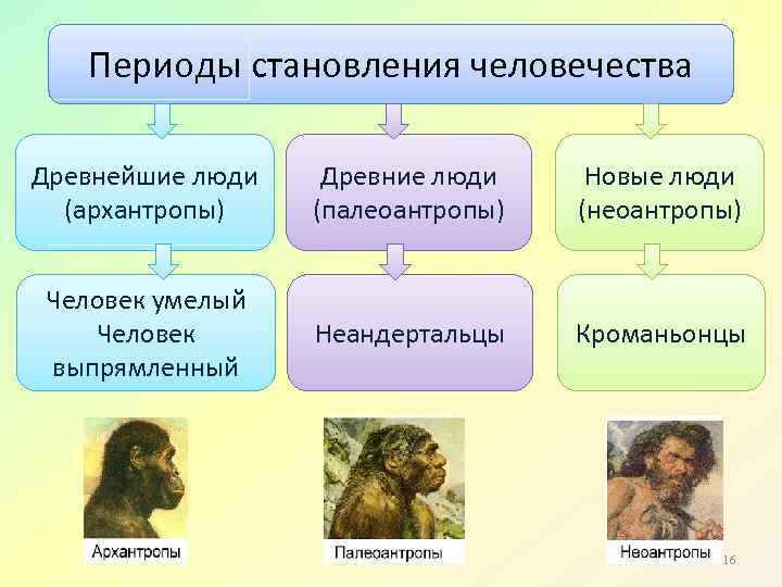 Периоды становления человечества Древнейшие люди (архантропы) Древние люди (палеоантропы) Новые люди (неоантропы) Человек умелый