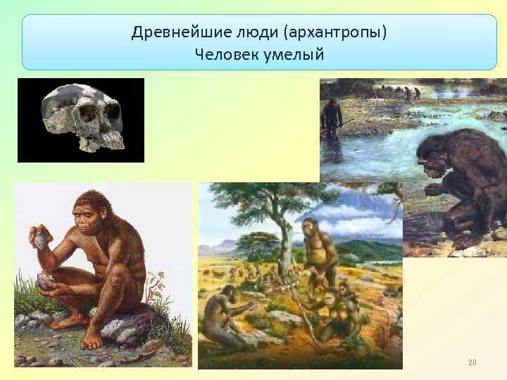 Древнейшие люди (архантропы) Человек умелый 20 