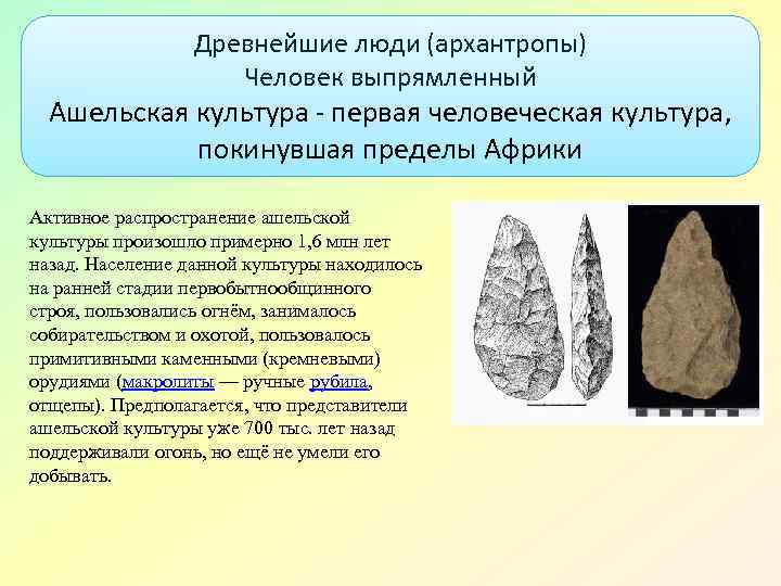 Древнейшие люди (архантропы) Человек выпрямленный Ашельская культура - первая человеческая культура, покинувшая пределы Африки