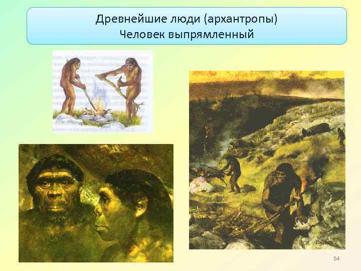 Древнейшие люди (архантропы) Человек выпрямленный 24 