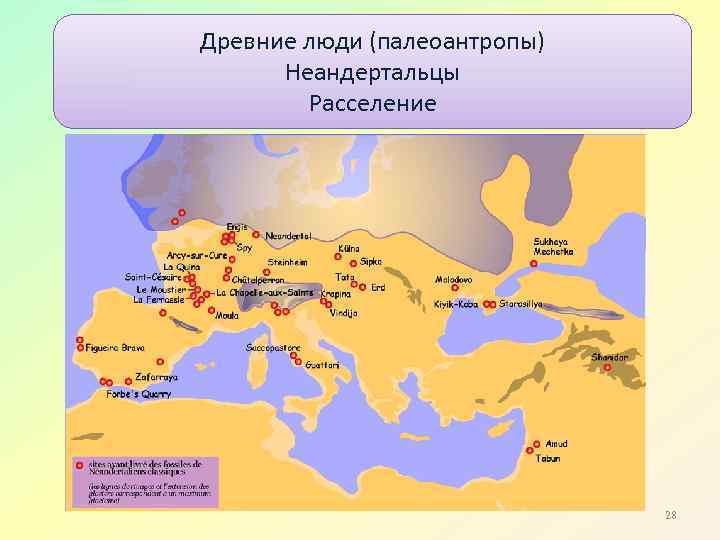 Древние люди (палеоантропы) Неандертальцы Расселение 28 