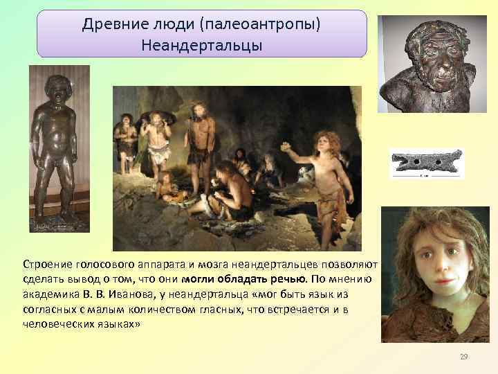 Древние люди (палеоантропы) Неандертальцы Строение голосового аппарата и мозга неандертальцев позволяют сделать вывод о
