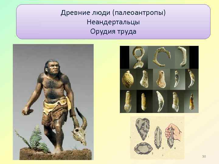 Древние люди (палеоантропы) Неандертальцы Орудия труда 30 
