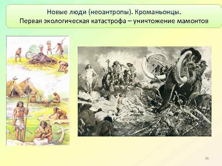 Новые люди (неоантропы). Кроманьонцы. Первая экологическая катастрофа – уничтожение мамонтов 38 