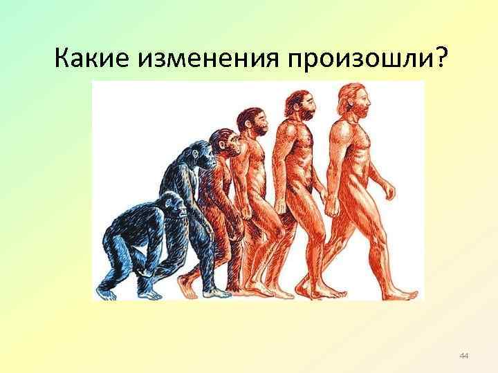 Какие изменения произошли? 44 