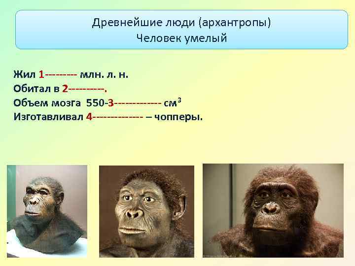 Древнейшие люди (архантропы) Человек умелый Жил 1 ----- млн. л. н. Обитал в 2