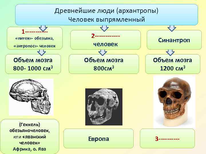 Древнейшие люди (архантропы) Человек выпрямленный 1 ------ «питек» - обезьяна, 2 ------человек Синантроп Объем