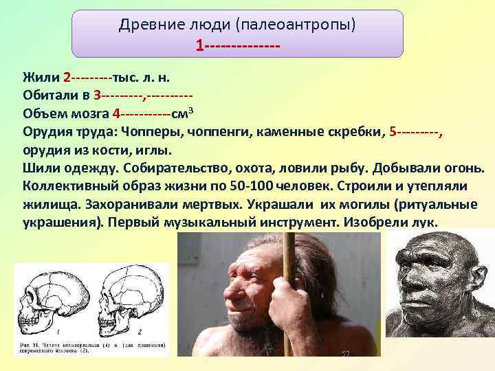 Люди древнейшие варианты ответа. Древние люди характеристика. Древнейший человек характеристика. Древнейшие люди цель урока. Кого относят к палеоантропам.